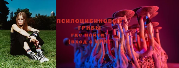 спиды Абинск
