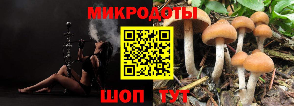 Зеленодольск  Галлюциногенные грибы прущие грибы  Галлюциногенные грибы прущие грибы  Вход с VPN 